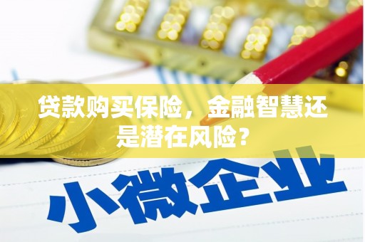 六枝贷款购买保险，金融智慧还是潜在风险？