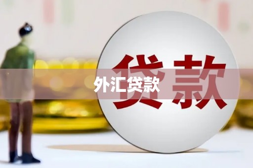 六枝外汇贷款