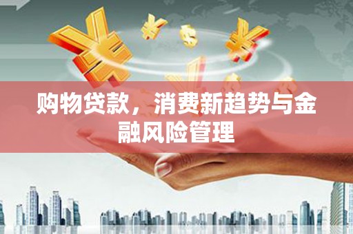 六枝购物贷款，消费新趋势与金融风险管理