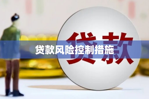 六枝贷款风险控制措施
