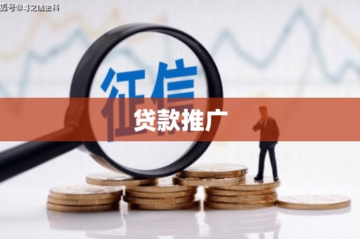 六枝贷款推广