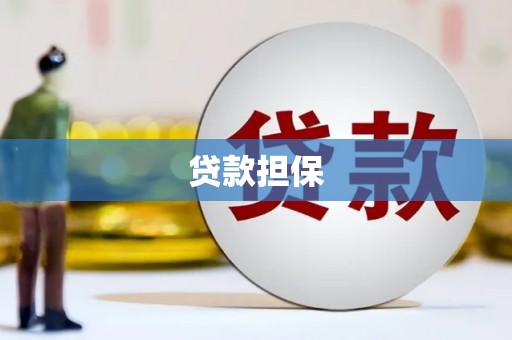 六枝贷款担保
