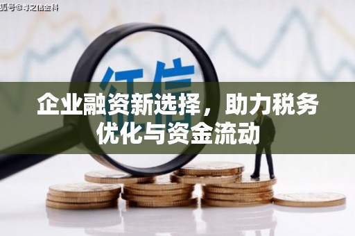 六枝企业融资新选择，助力税务优化与资金流动