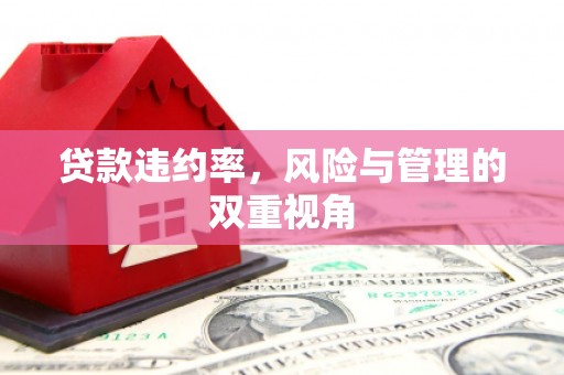 六枝贷款违约率，风险与管理的双重视角