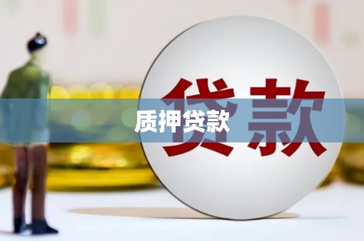 六枝质押贷款