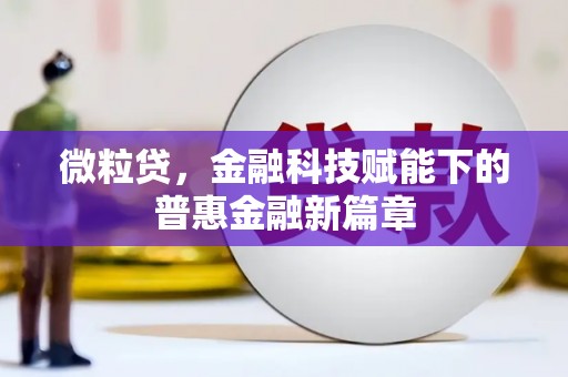 六枝微粒贷，金融科技赋能下的普惠金融新篇章