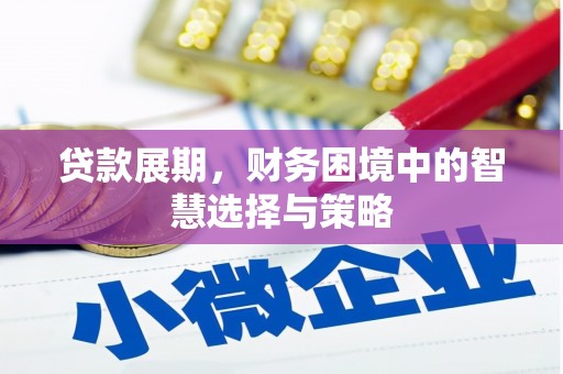 六枝贷款展期，财务困境中的智慧选择与策略