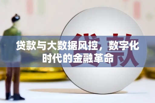 六枝贷款与大数据风控，数字化时代的金融革命