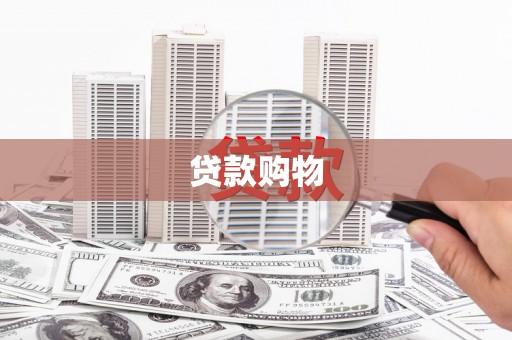 六枝贷款购物