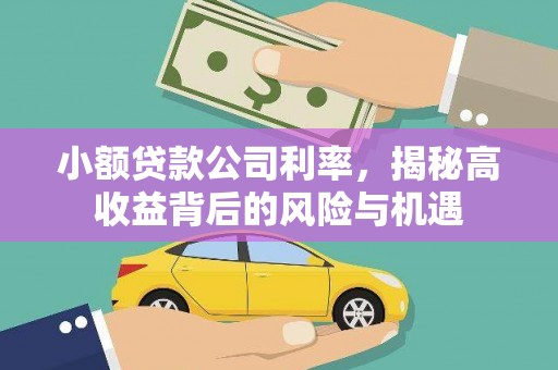 六枝小额贷款公司利率，揭秘高收益背后的风险与机遇
