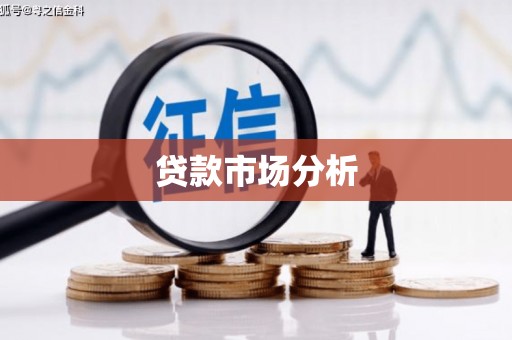 六枝贷款市场分析