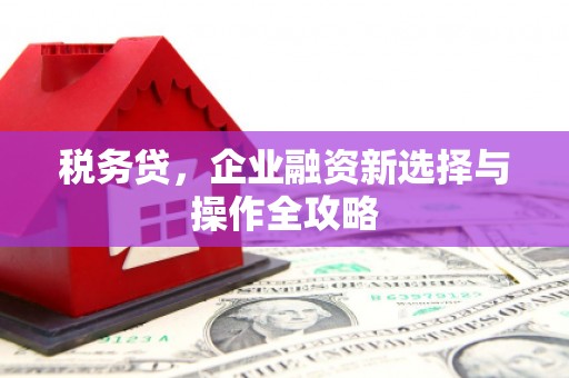 六枝税务贷，企业融资新选择与操作全攻略