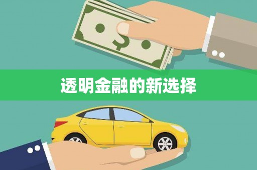 六枝透明金融的新选择