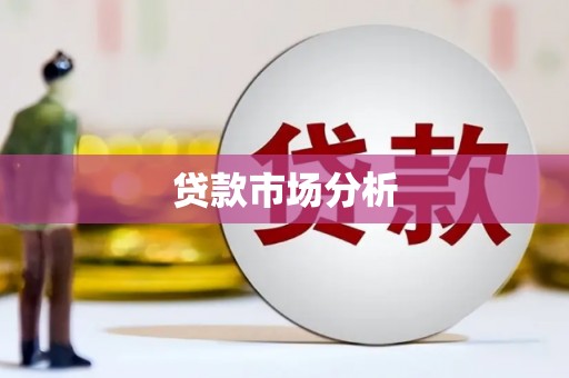 六枝贷款市场分析