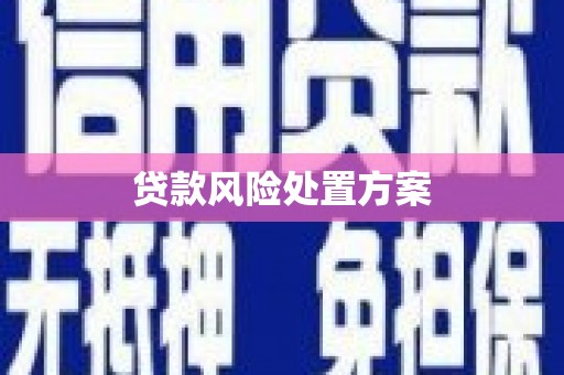 六枝贷款风险处置方案