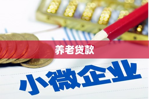六枝养老贷款