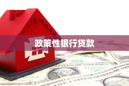六枝政策性银行贷款
