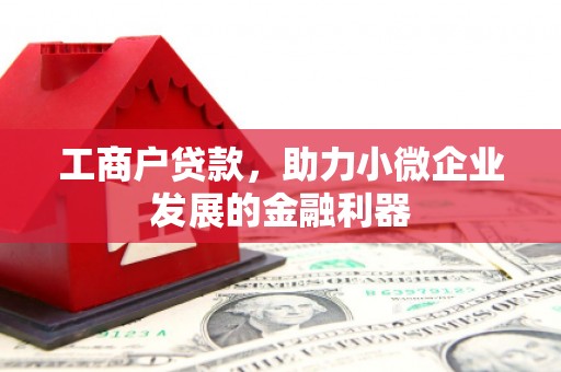 六枝工商户贷款，助力小微企业发展的金融利器