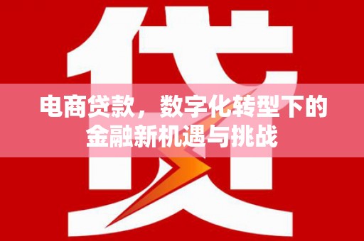 六枝电商贷款，数字化转型下的金融新机遇与挑战