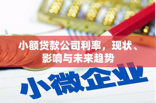 六枝小额贷款公司利率，现状、影响与未来趋势