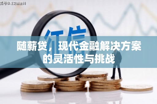 六枝随薪贷，现代金融解决方案的灵活性与挑战