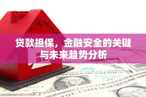 六枝贷款担保，金融安全的关键与未来趋势分析
