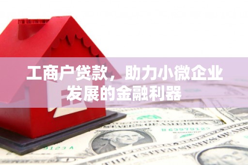 六枝工商户贷款，助力小微企业发展的金融利器