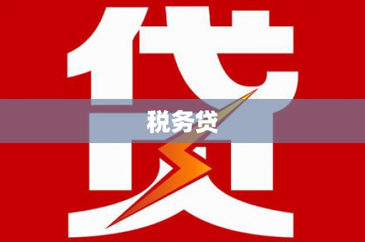 六枝税务贷