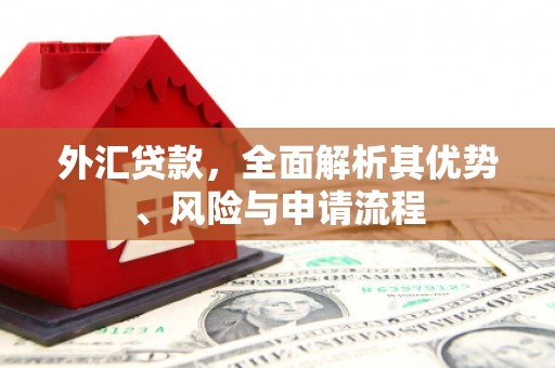 六枝外汇贷款，全面解析其优势、风险与申请流程