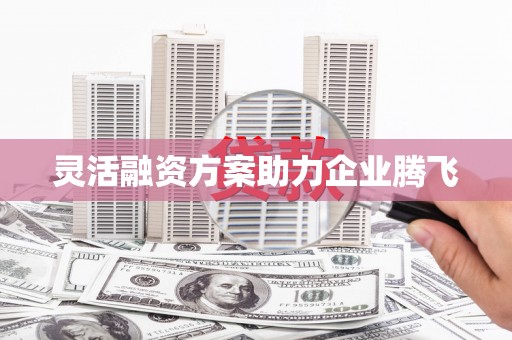 六枝灵活融资方案助力企业腾飞