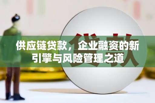六枝供应链贷款，企业融资的新引擎与风险管理之道
