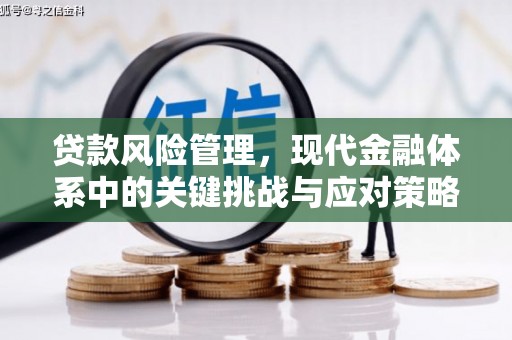 六枝贷款风险管理，现代金融体系中的关键挑战与应对策略