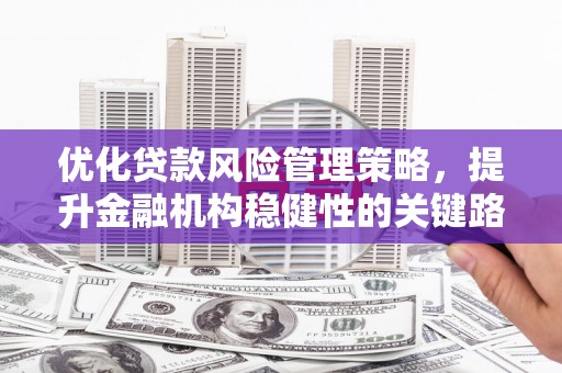 六枝优化贷款风险管理策略，提升金融机构稳健性的关键路径