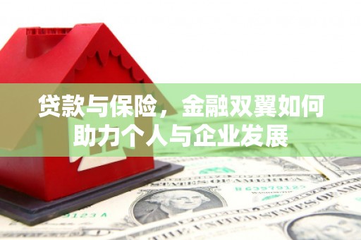 六枝贷款与保险，金融双翼如何助力个人与企业发展