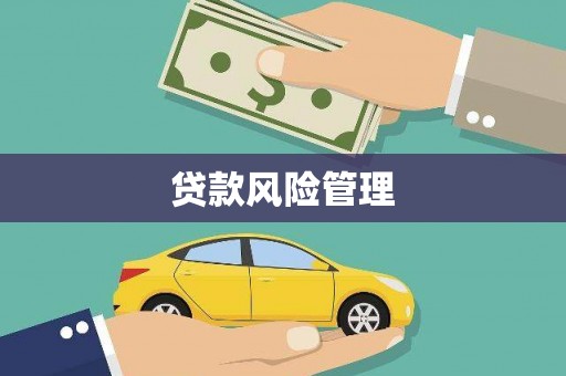 六枝贷款风险管理