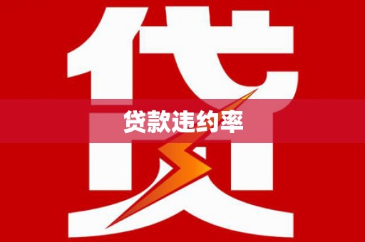 六枝贷款违约率
