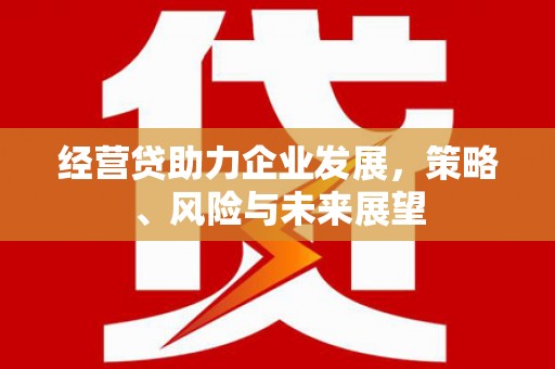 六枝经营贷助力企业发展，策略、风险与未来展望
