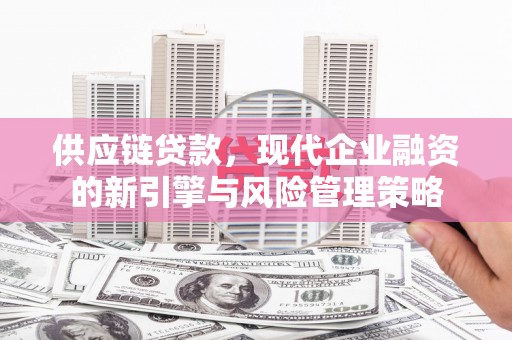 六枝供应链贷款，现代企业融资的新引擎与风险管理策略