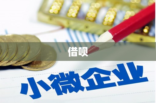 六枝借呗