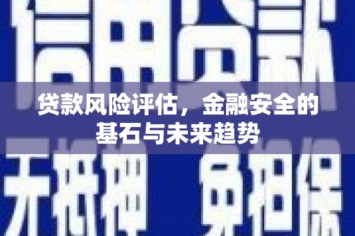 六枝贷款风险评估，金融安全的基石与未来趋势