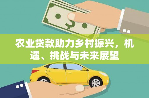 六枝农业贷款助力乡村振兴，机遇、挑战与未来展望
