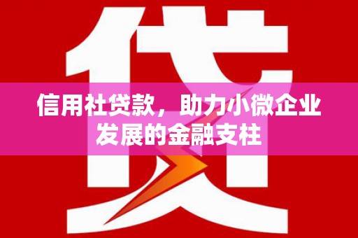 六枝信用社贷款，助力小微企业发展的金融支柱