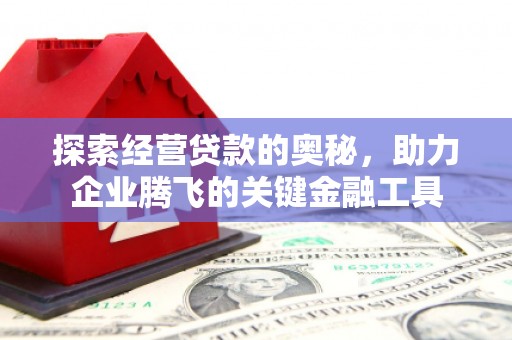六枝探索经营贷款的奥秘，助力企业腾飞的关键金融工具