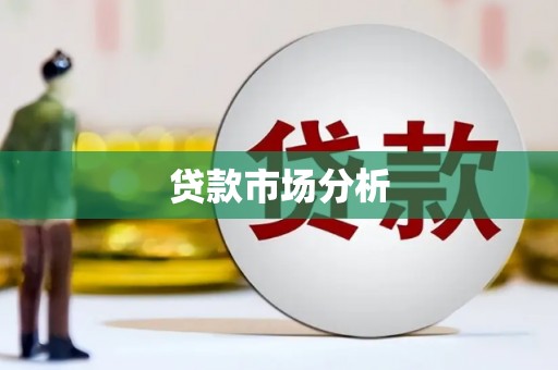 六枝贷款市场分析