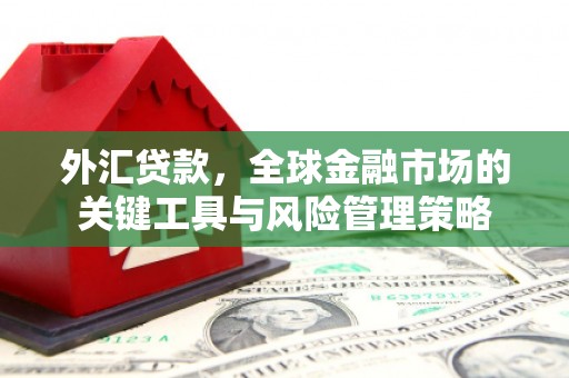 六枝外汇贷款，全球金融市场的关键工具与风险管理策略