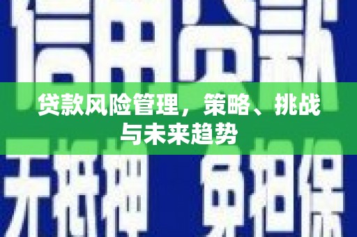 六枝贷款风险管理，策略、挑战与未来趋势