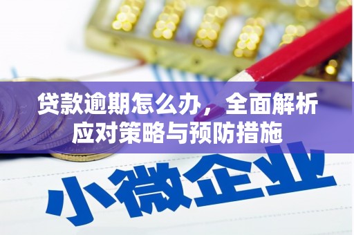 六枝贷款逾期怎么办，全面解析应对策略与预防措施