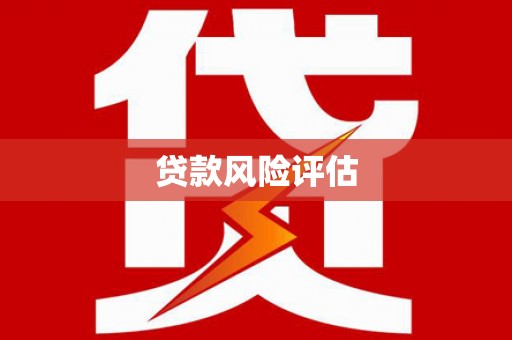六枝贷款风险评估