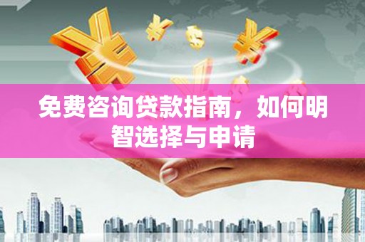 六枝免费咨询贷款指南，如何明智选择与申请