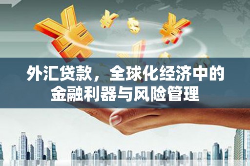 六枝外汇贷款，全球化经济中的金融利器与风险管理
